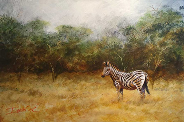 ian_van_zyl